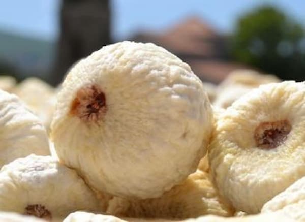 تصویر 4 از خرید انجیر سفید عسلی + قیمت فروش استثنایی
